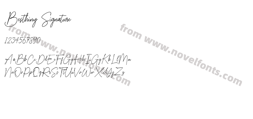Besthiny SignaturePreview