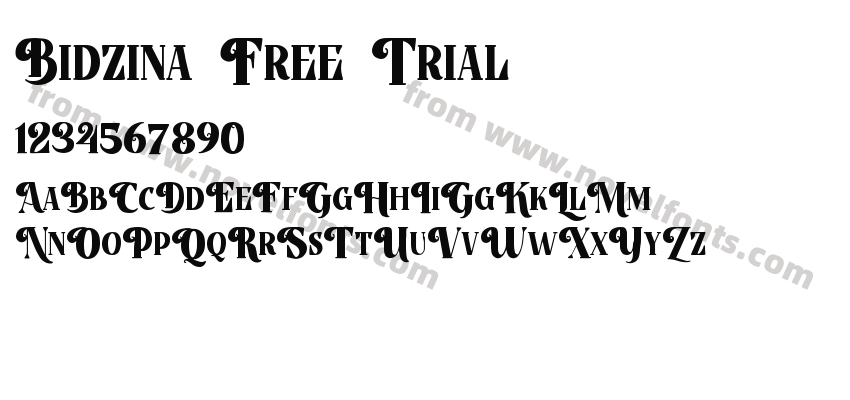 Bidzina Free TrialPreview