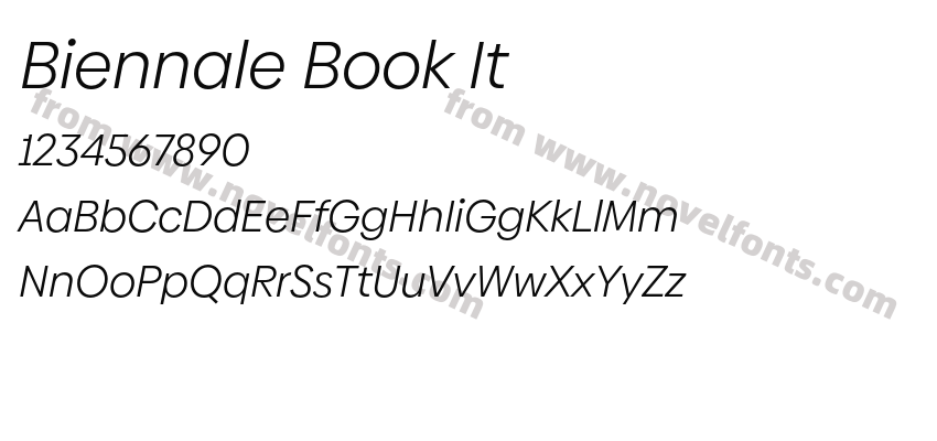 Biennale Book ItPreview