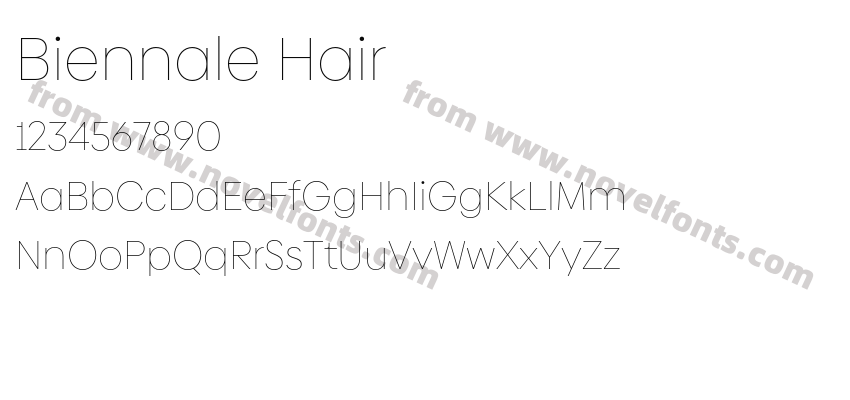 Biennale HairPreview