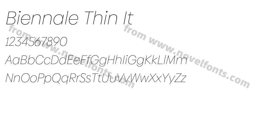 Biennale Thin ItPreview