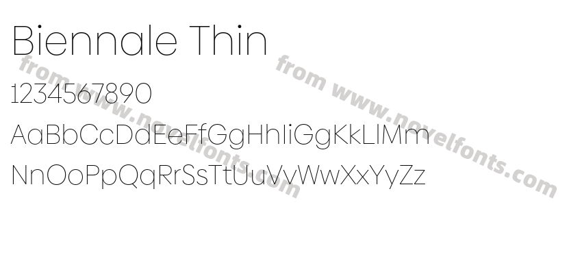 Biennale ThinPreview