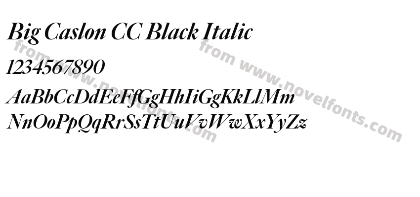 Big Caslon CC Black ItalicPreview