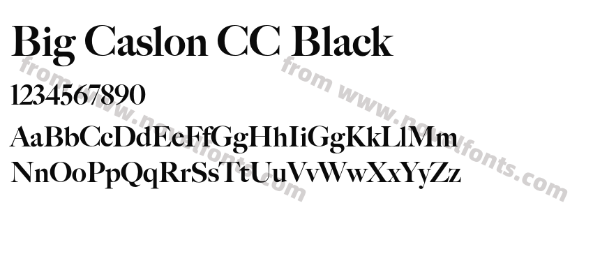 Big Caslon CC BlackPreview