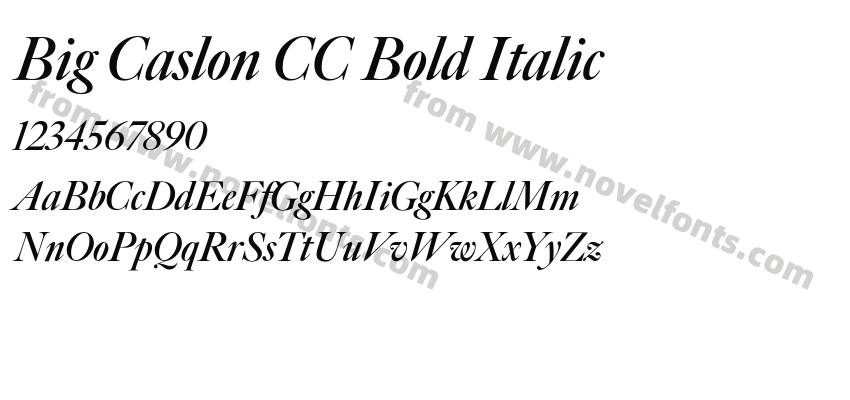 Big Caslon CC Bold ItalicPreview