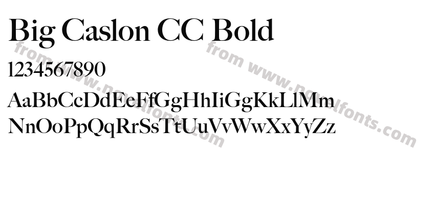 Big Caslon CC BoldPreview
