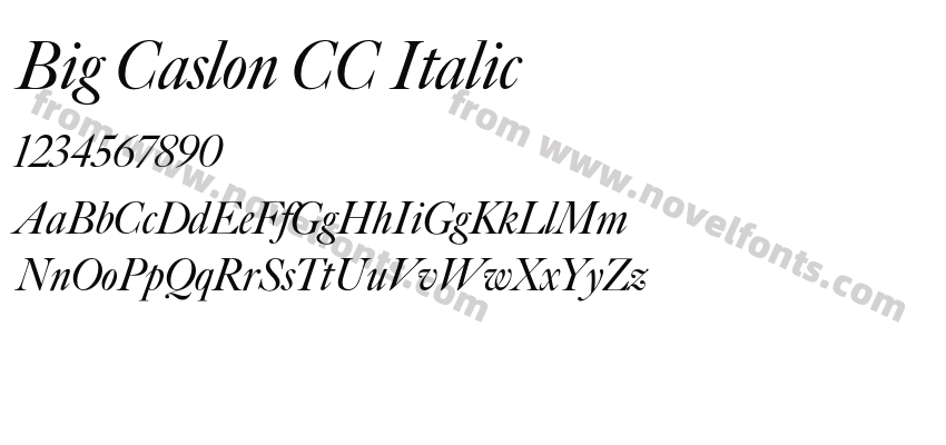 Big Caslon CC ItalicPreview