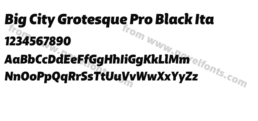 Big City Grotesque Pro Black ItaPreview