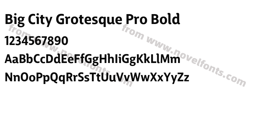 Big City Grotesque Pro BoldPreview