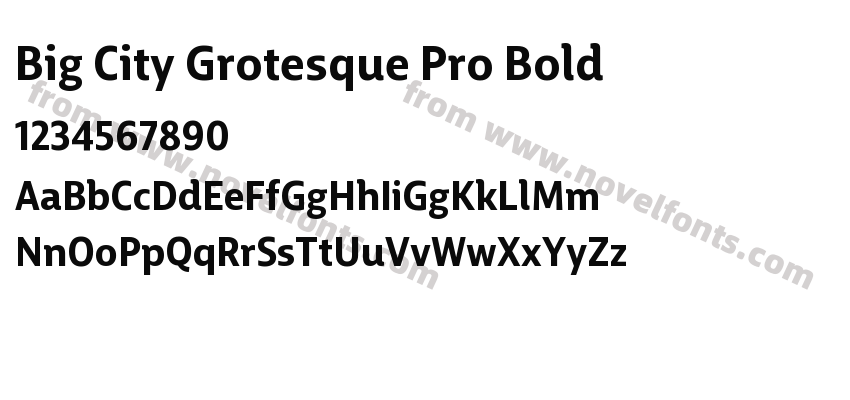 Big City Grotesque Pro BoldPreview