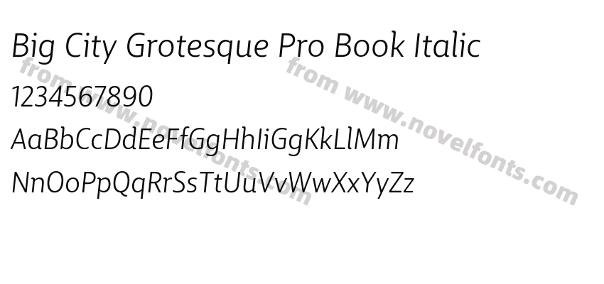 Big City Grotesque Pro Book ItalicPreview