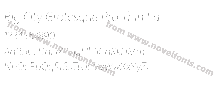 Big City Grotesque Pro Thin ItaPreview