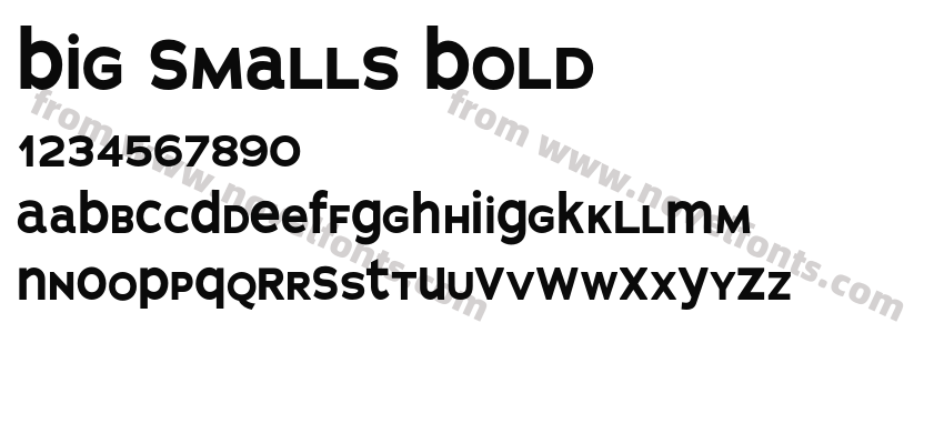 Big Smalls BoldPreview