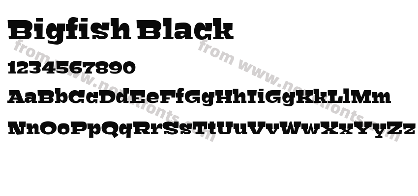 Bigfish BlackPreview