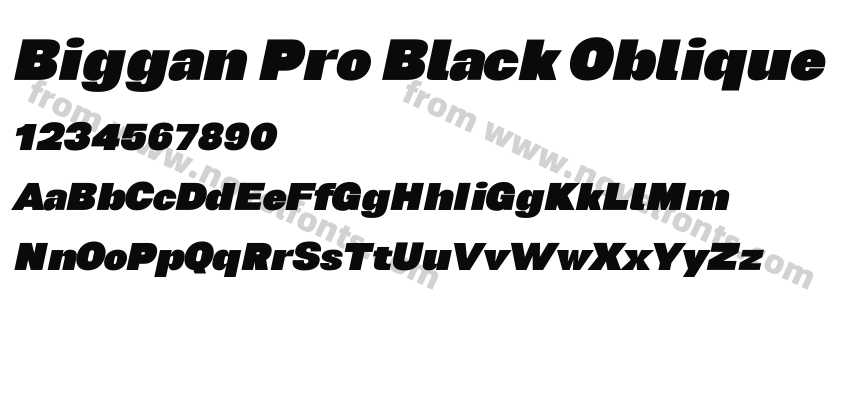 Biggan Pro Black ObliquePreview