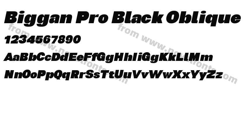 Biggan Pro Black ObliquePreview