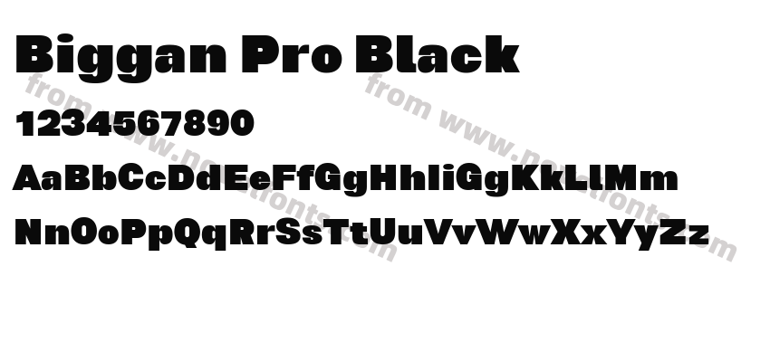Biggan Pro BlackPreview