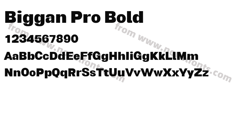 Biggan Pro BoldPreview