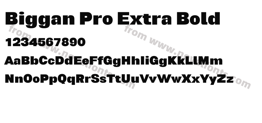 Biggan Pro Extra BoldPreview