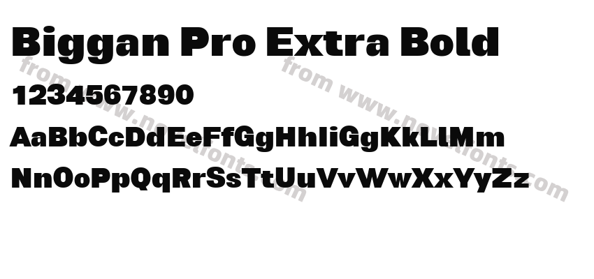 Biggan Pro Extra BoldPreview