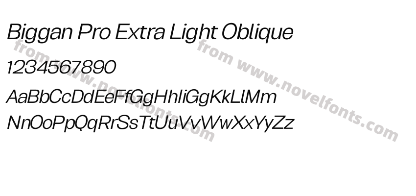 Biggan Pro Extra Light ObliquePreview