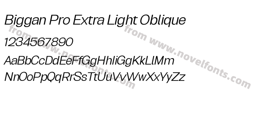 Biggan Pro Extra Light ObliquePreview