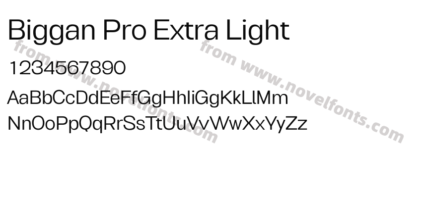 Biggan Pro Extra LightPreview