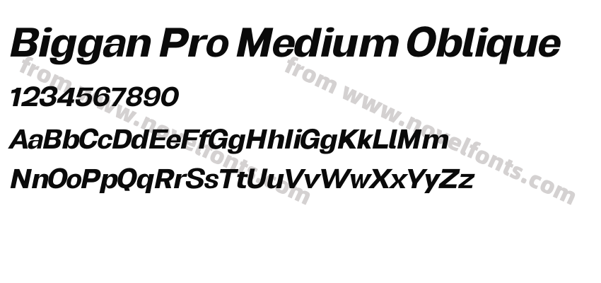 Biggan Pro Medium ObliquePreview