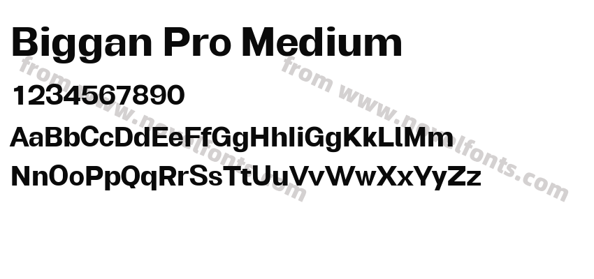 Biggan Pro MediumPreview