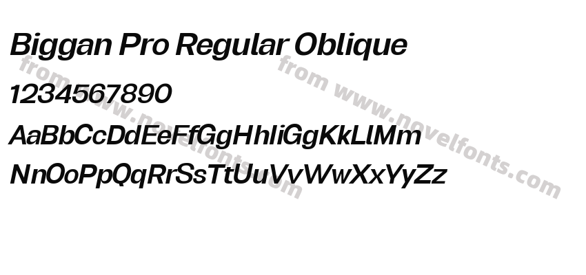 Biggan Pro Regular ObliquePreview