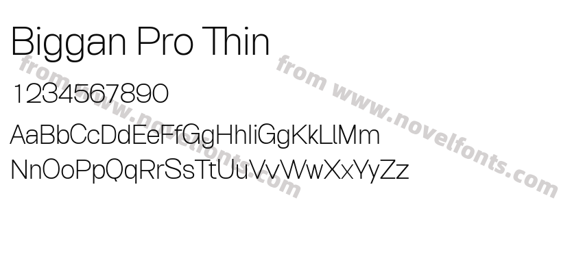 Biggan Pro ThinPreview