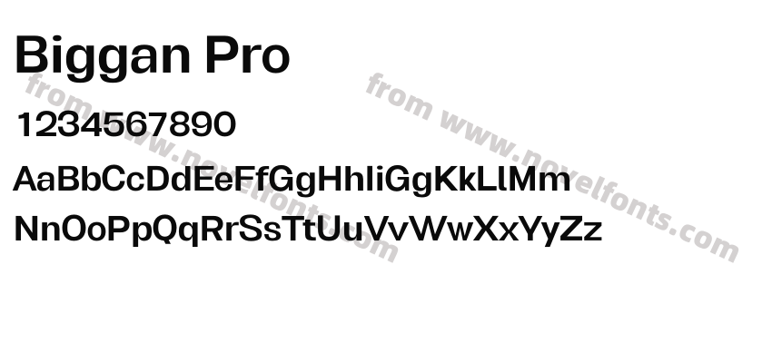 Biggan ProPreview