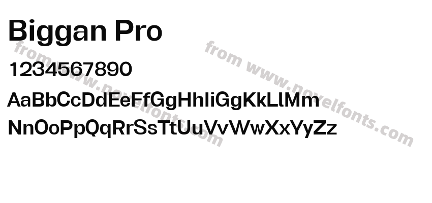 Biggan ProPreview