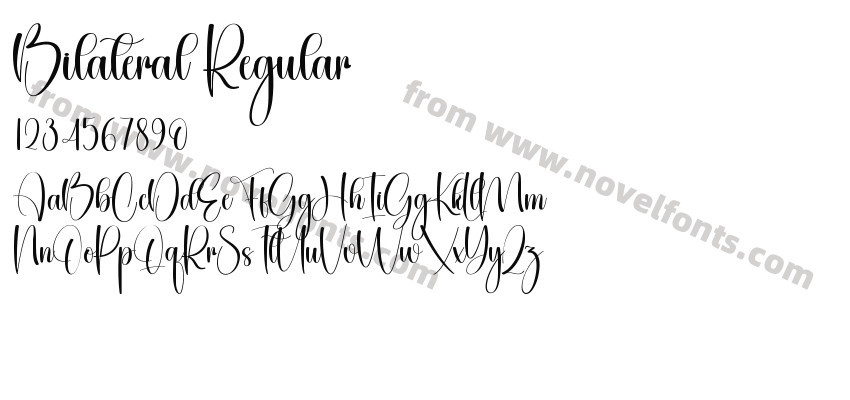 Bilateral RegularPreview