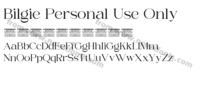 Bilgie Personal Use OnlyPreview
