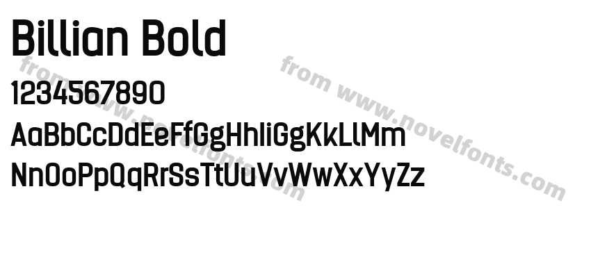 Billian BoldPreview