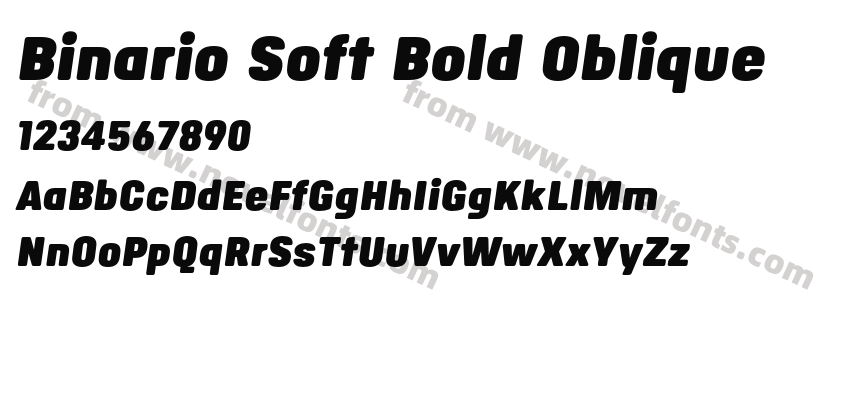 Binario Soft Bold ObliquePreview