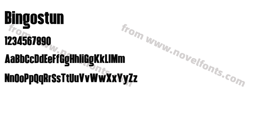 BingostunPreview