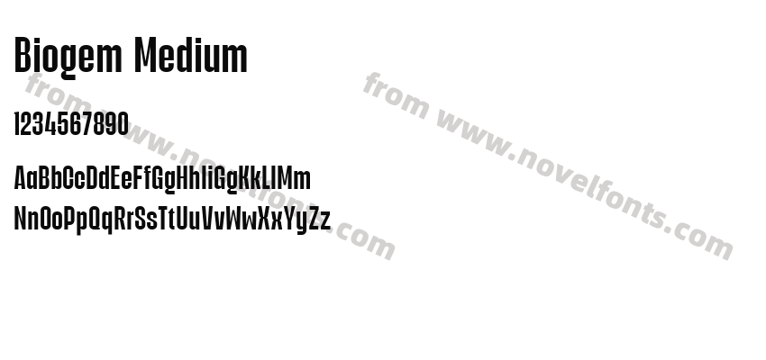 Biogem MediumPreview