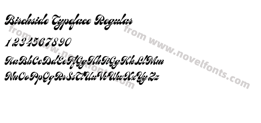 Birchside Typeface RegularPreview
