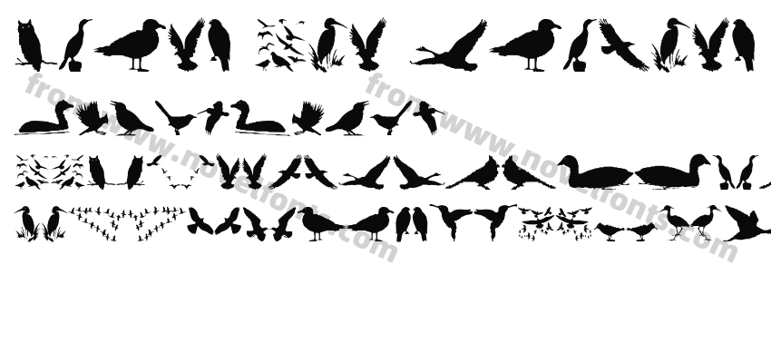 Birds And FriendsPreview