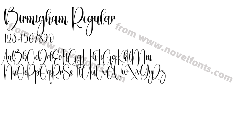 Birmigham RegularPreview