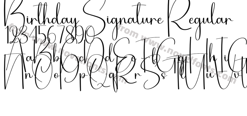 Birthday Signature RegularPreview