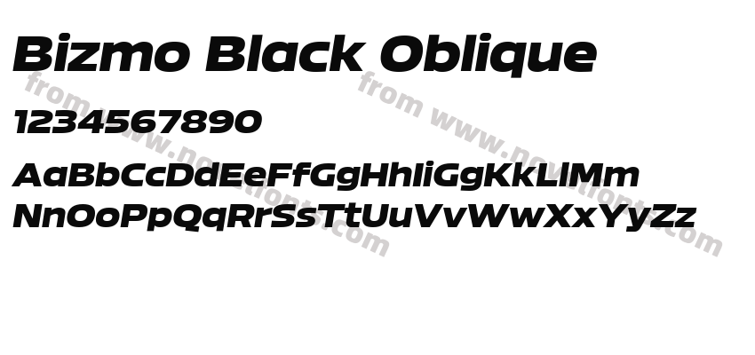 Bizmo Black ObliquePreview
