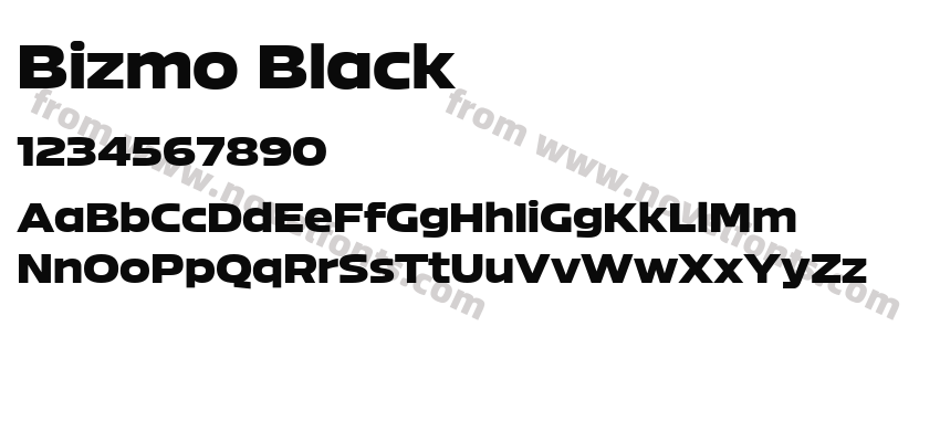 Bizmo BlackPreview