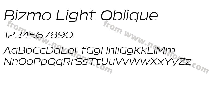 Bizmo Light ObliquePreview