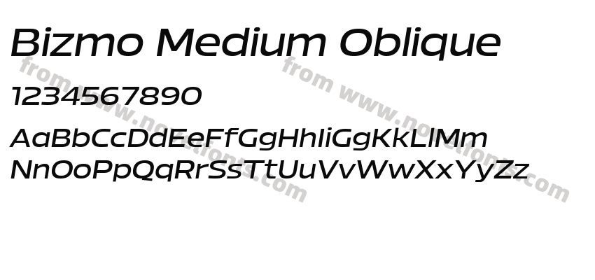 Bizmo Medium ObliquePreview