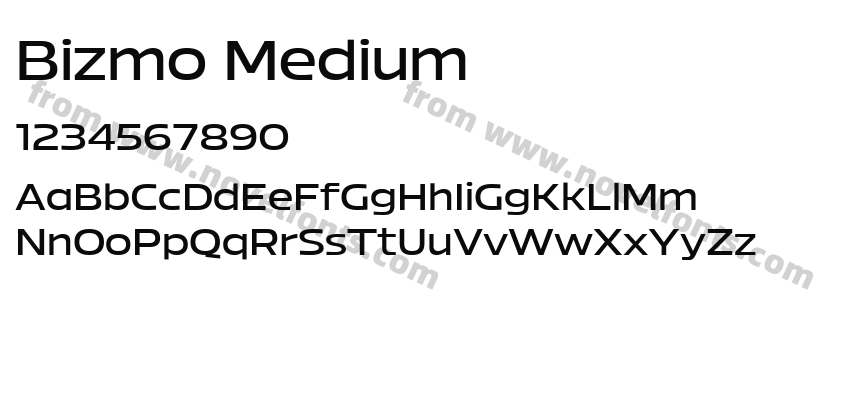 Bizmo MediumPreview