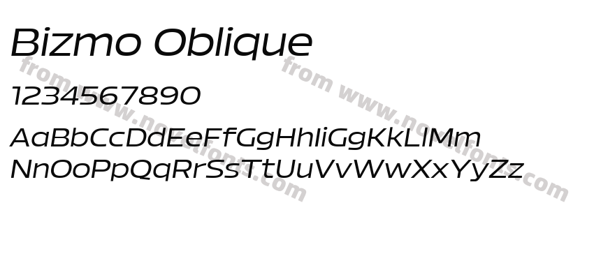 Bizmo ObliquePreview