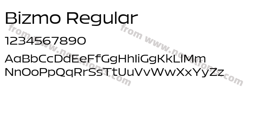 Bizmo RegularPreview